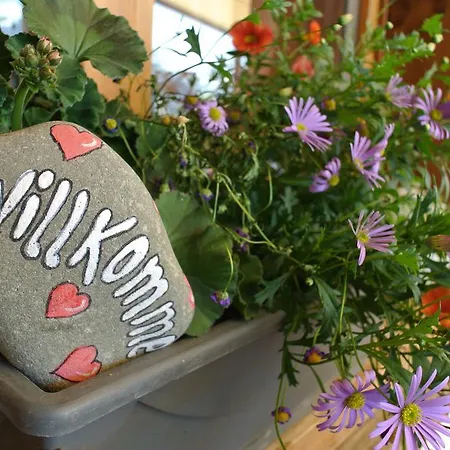 Ustria / Pensiun Trutg 3*