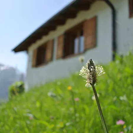 Ustria / Pensiun Trutg 3*