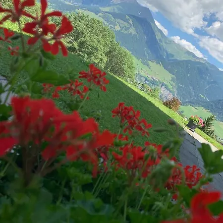 Penzion Ustria / Pensiun Trutg