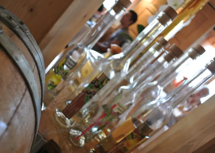 Gasthof Ustria / Pensiun Trutg Vella