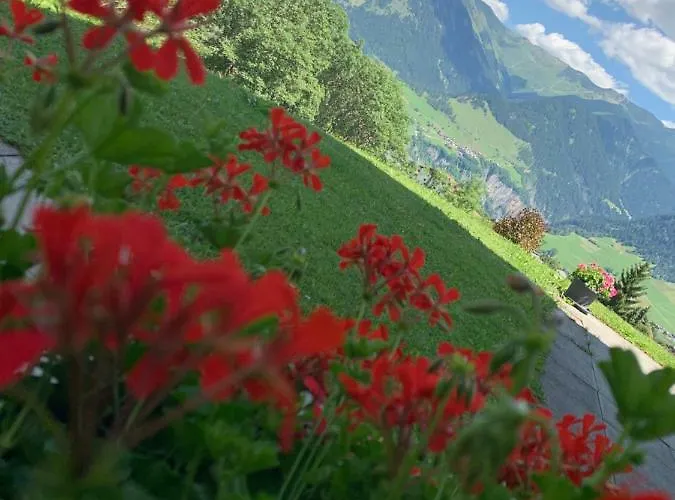 Gasthof Ustria / Pensiun Trutg